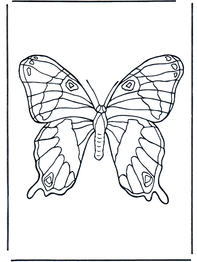 Бабочка 1 - Насекомые