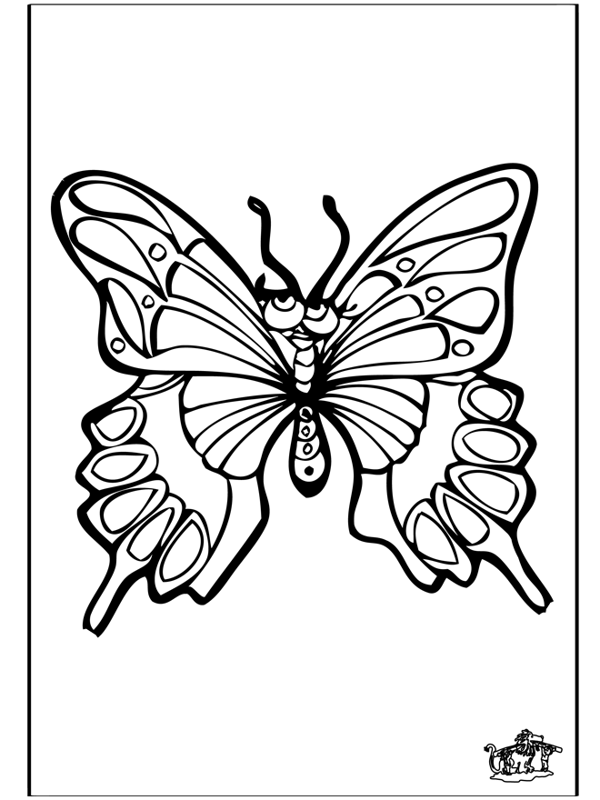 Бабочка 4 - Насекомые