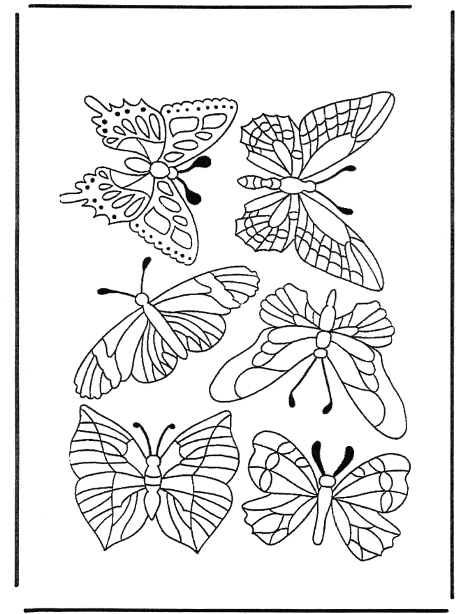 Бабочки 1 - Насекомые