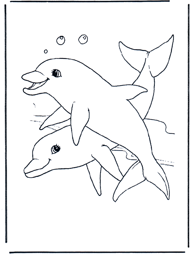 Дельфины 1 - Водоплавающие животные
