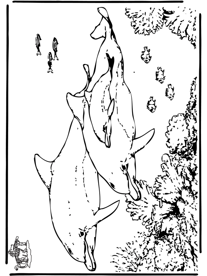 Дельфины 5 - Водоплавающие животные
