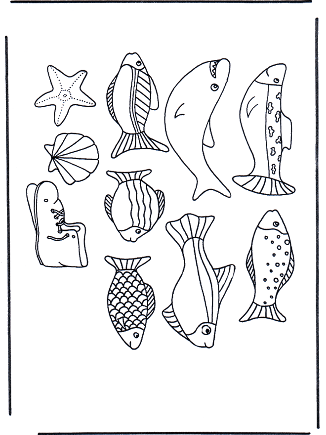 Картинки с рыбами - Водоплавающие животные