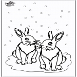 Зимние раскраски - Кролики