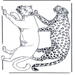 Раскраски с животными - Лев и леопард