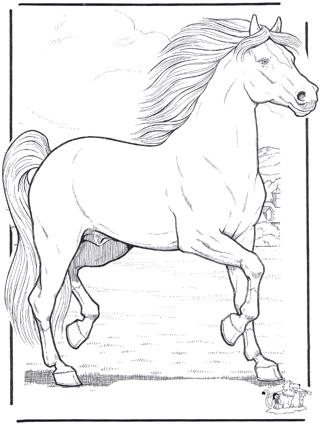 Лошадь 3 - Лошади