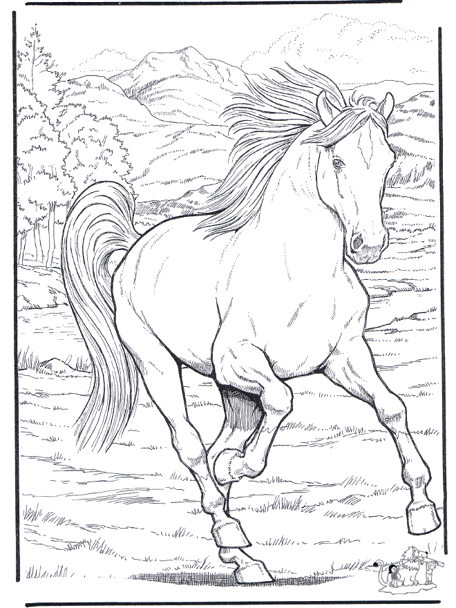Лошадь 4 - Лошади