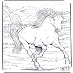 Раскраски с животными - Лошадь 4