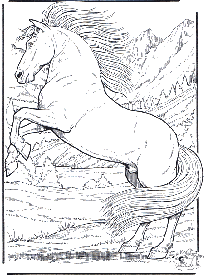 Лошадь 5 - Лошади