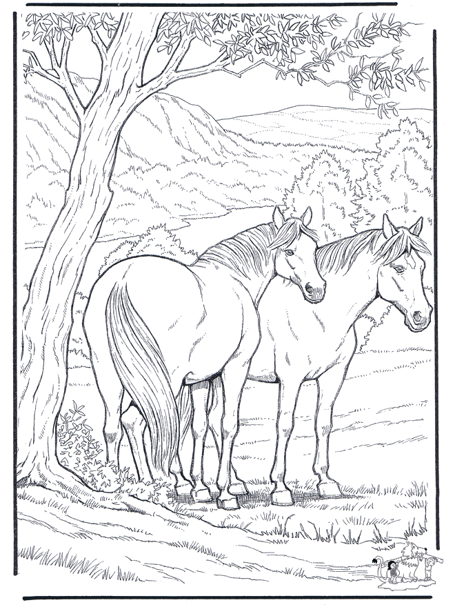 Лошадь 6 - Лошади