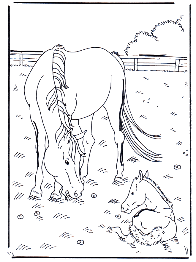 Лошадь и жеребенок - Лошади