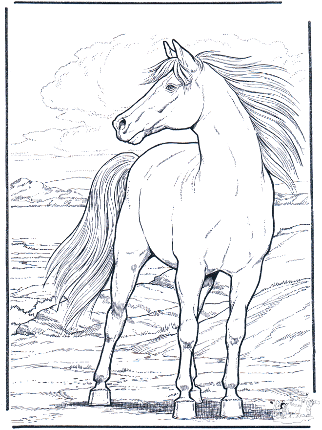 Лошадь на ветру - Лошади