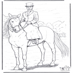 Раскраски с животными - Лошадь с дамой
