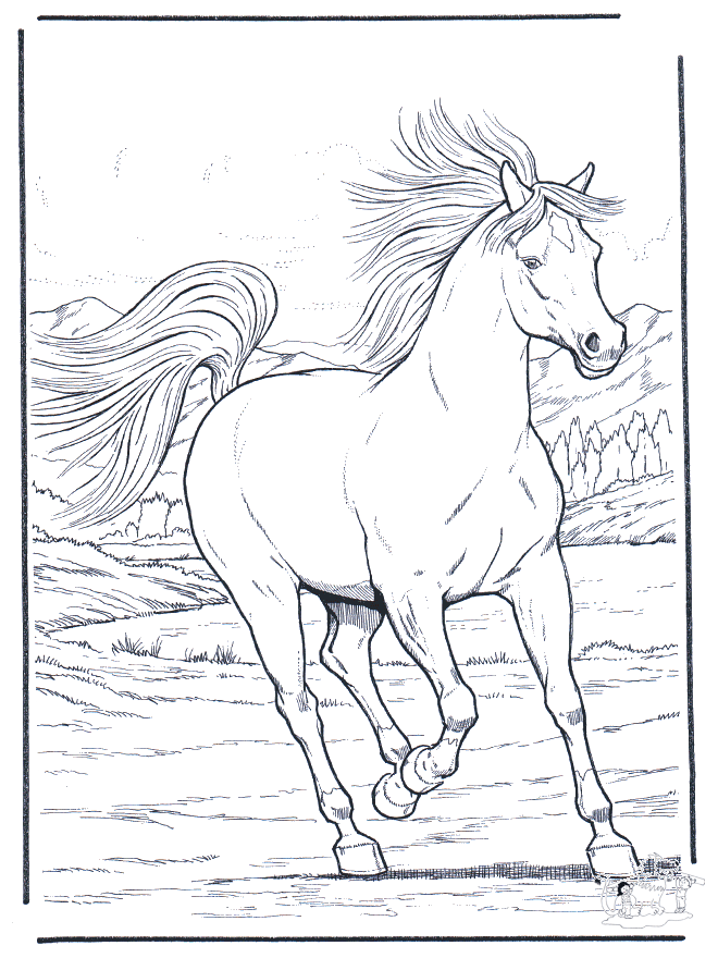 Лошадь в галлопе - Лошади
