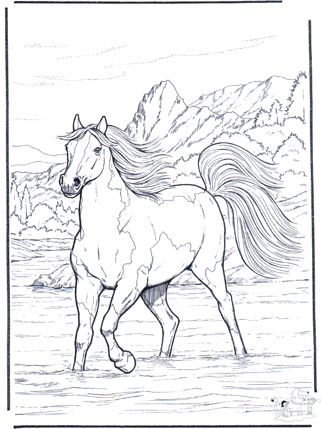 Лошадь в воде - Лошади