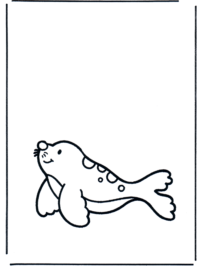 Маленький тюлень - животные