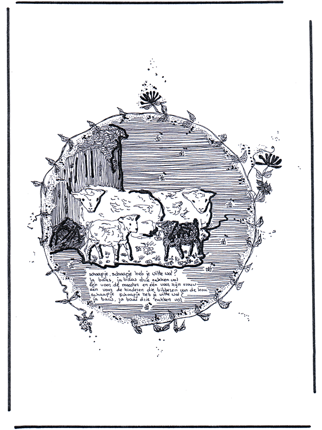 Овцы - Животные дома и на ферме