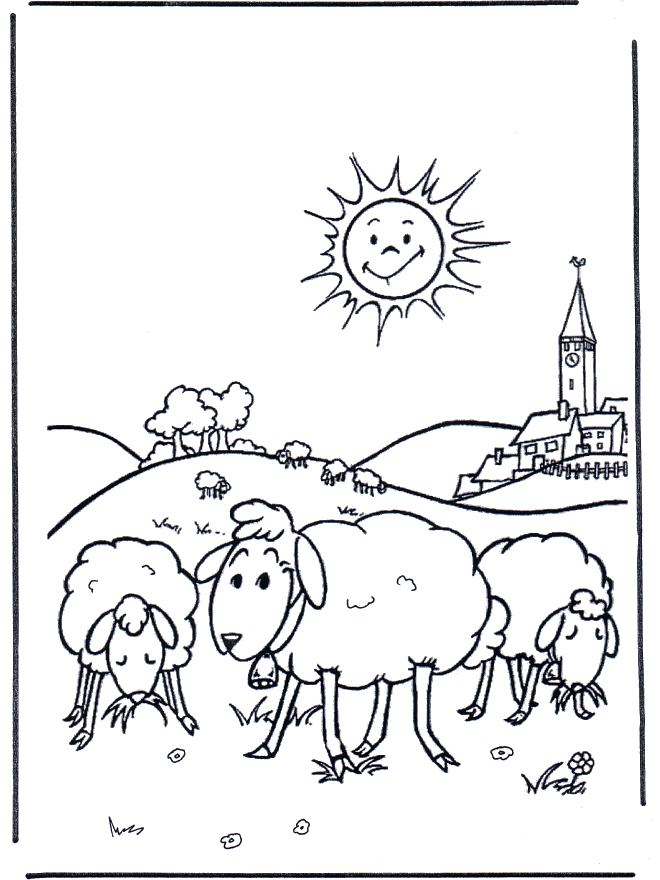 Овцы на солнце - Животные дома и на ферме