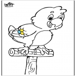 Раскраски с животными - Попугай 5
