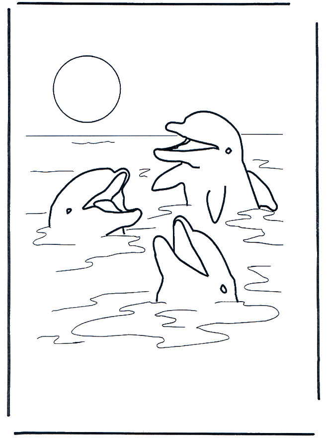 Три дельфина - Водоплавающие животные