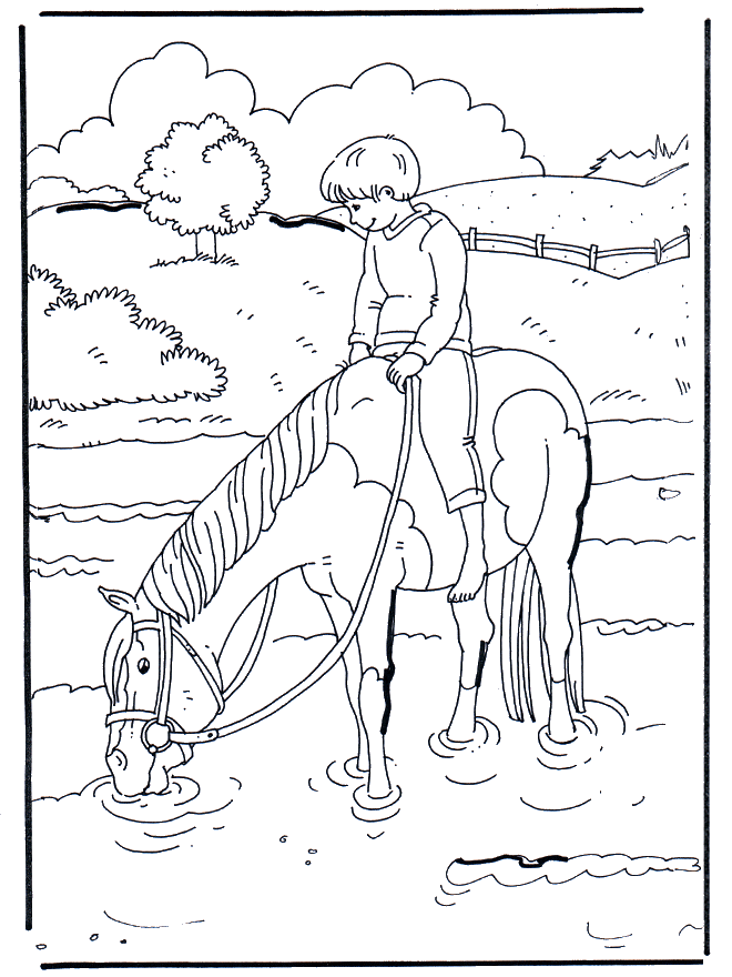 В воде - Лошади