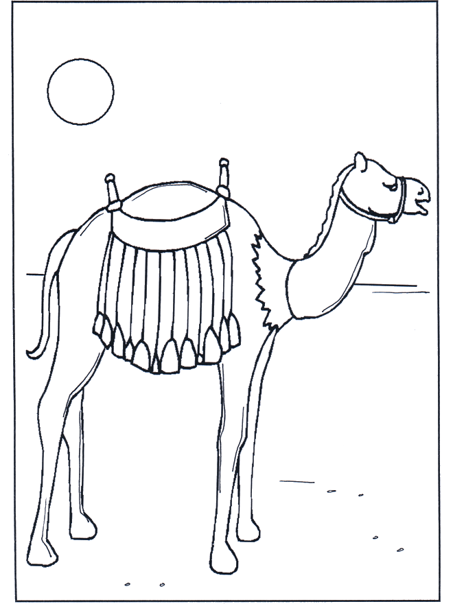 Верблюд на солнце
