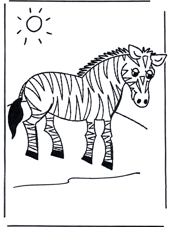 Зебра - Зоопарк